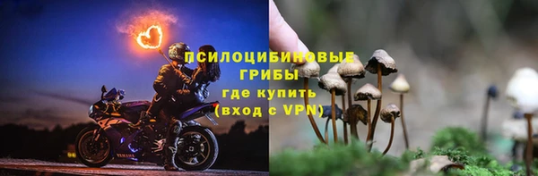 apvp Верхний Тагил